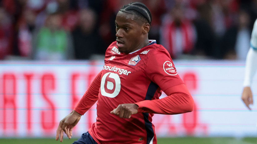 In-demand Striker David to Leave Lille This Summer